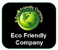 ECO 1